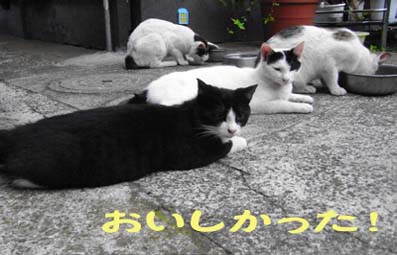 �褯���٤ޤ���